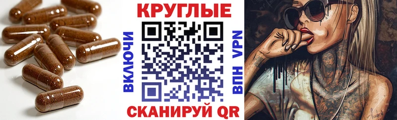 Купить закладки  Кологрив  ЭКСТАЗИ VHQ 