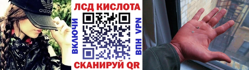 Купить где Кологрив Марки N-bome 1500мкг